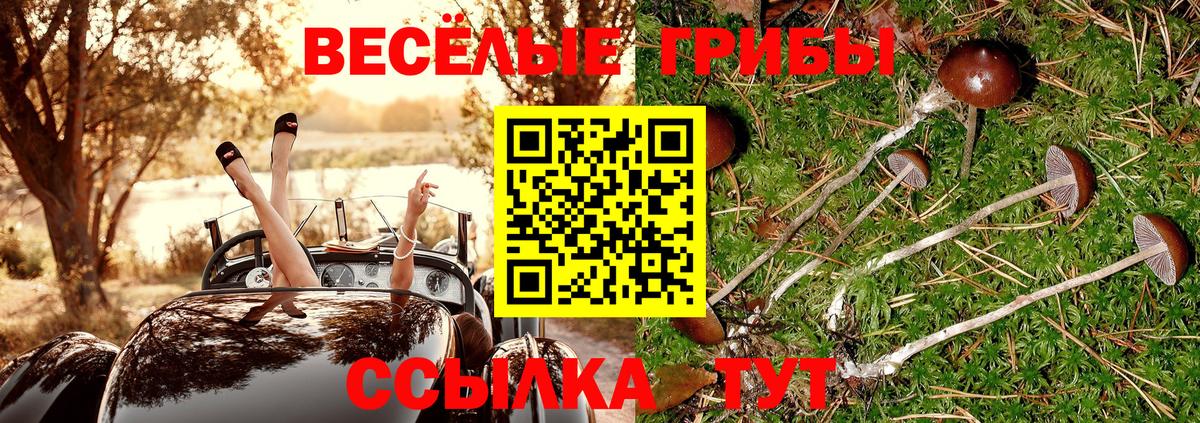 Галлюциногенные грибы GOLDEN TEACHER Грозный