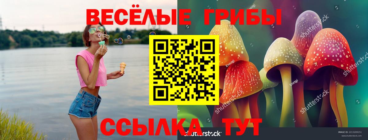 Грозный  Галлюциногенные грибы MAGIC MUSHROOMS  Вход с VPN 